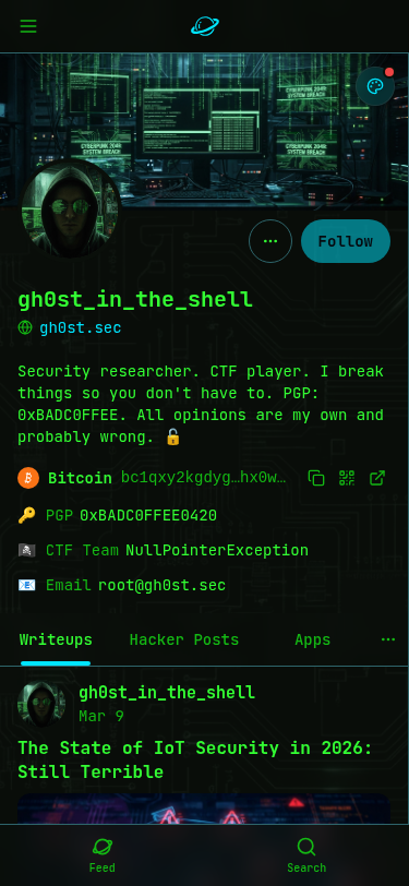 Ditto Hacker theme