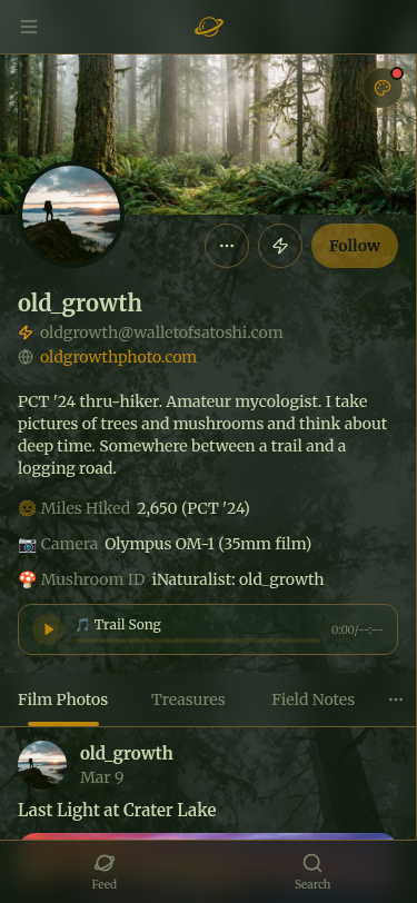 Ditto Hiker theme