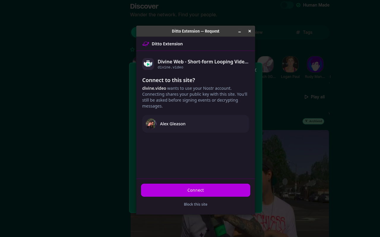 Ditto Extension screenshot