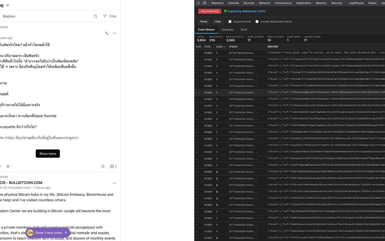 Nostr WS Inspector screenshot