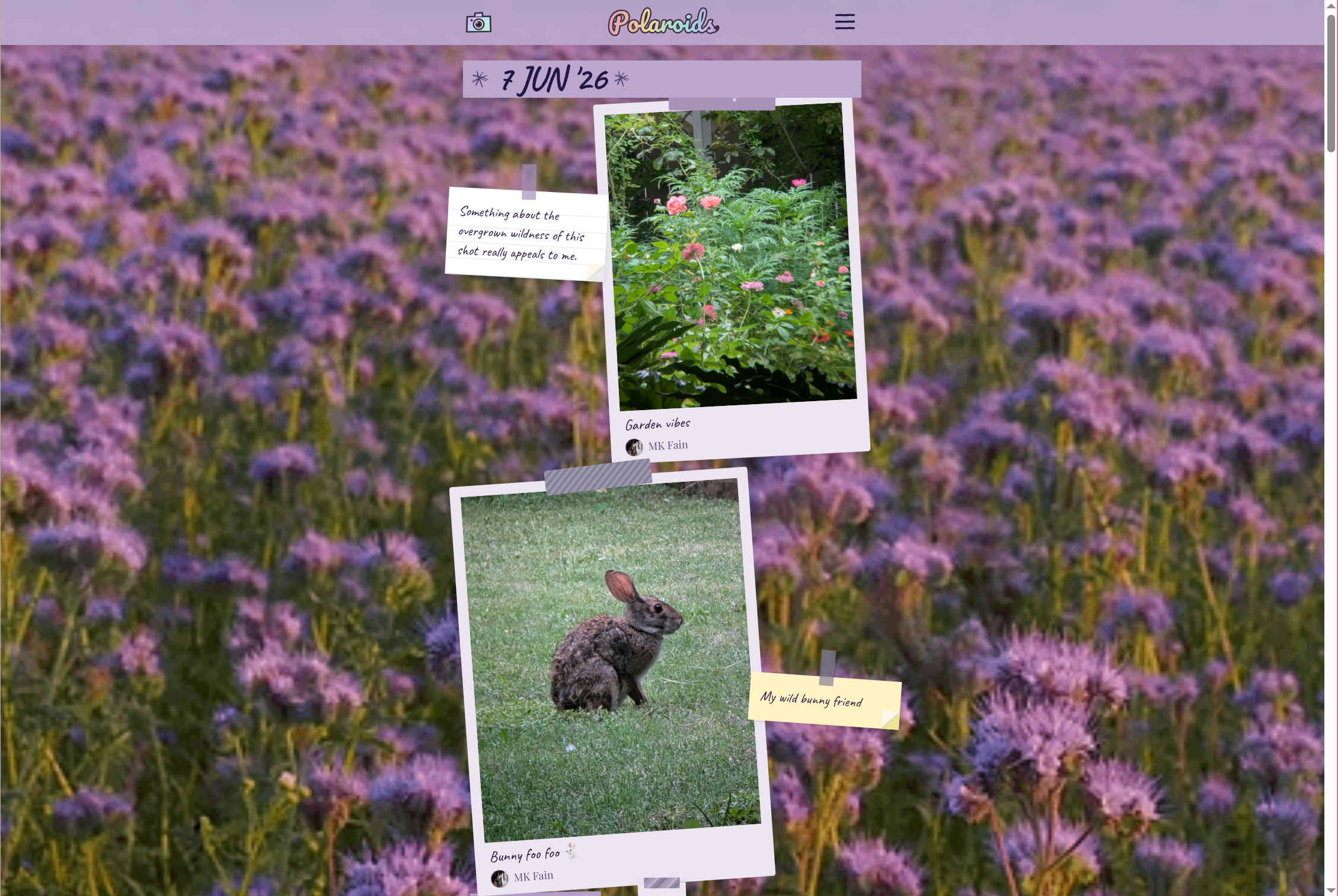 Polaroids screenshot